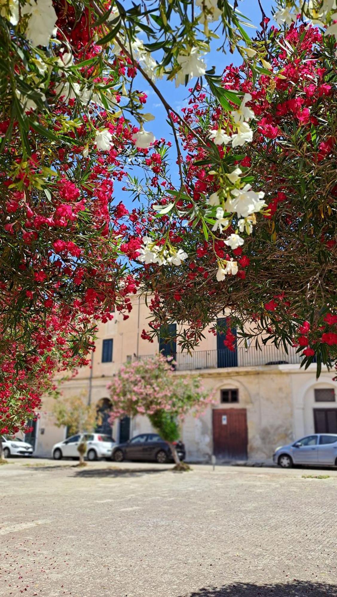 Mayu's House , Dimora Nel Centro Storico Di Hébergement de vacances *