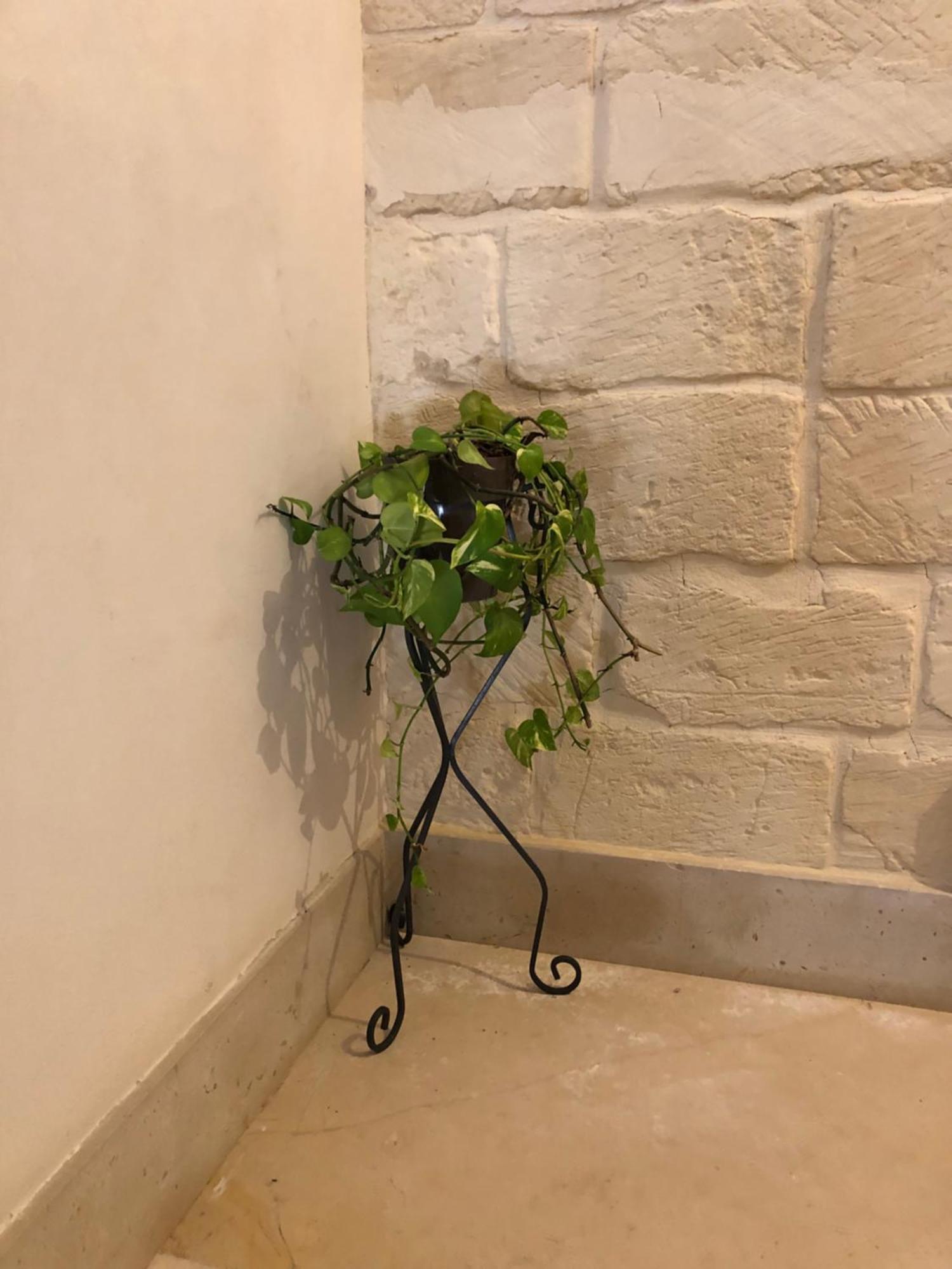 Mayu's House , Dimora Nel Centro Storico Di Hébergement de vacances Lecce